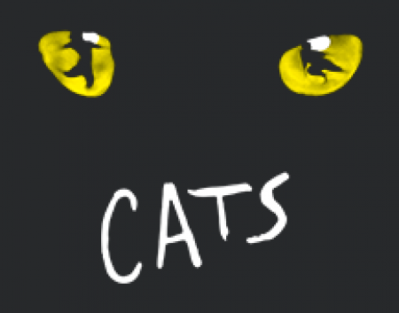 Cats the musical